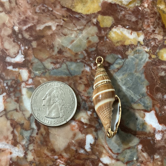 Gold-Edged Seashell Necklace Pendant - Picture 7 of 7
